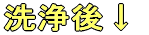 洗浄後↓